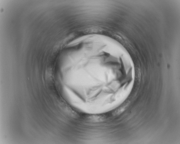 X0000073740326200608311916