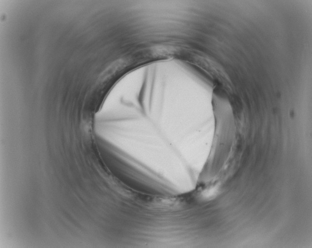 X0000073740329200608311916