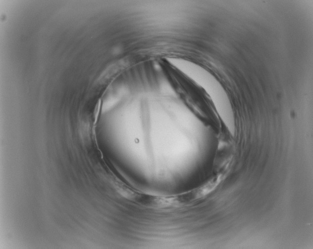 X0000073740333200608311916