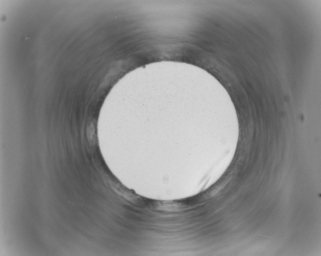 X0000073740336200608311916