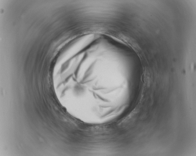 X0000073740338200608311915
