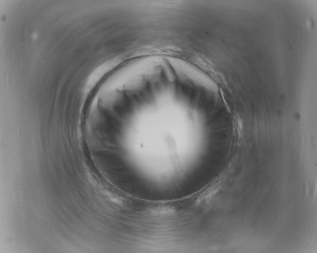 X0000073740340200608311915