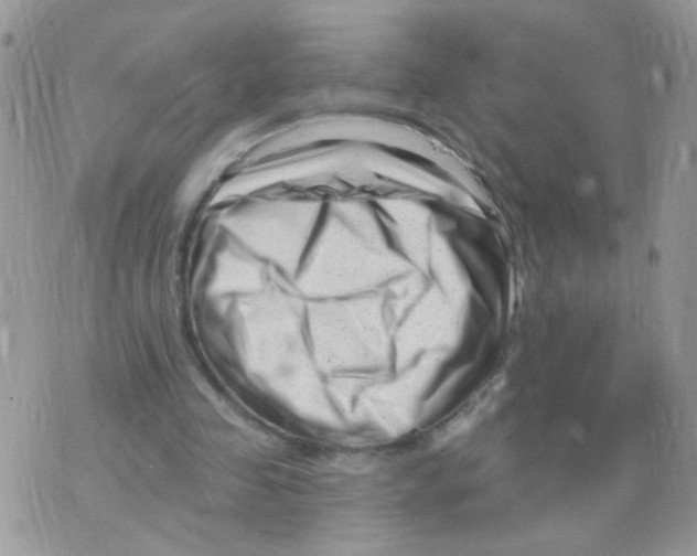 X0000073740341200608311915