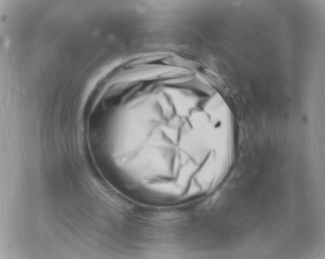 X0000073740342200608311915