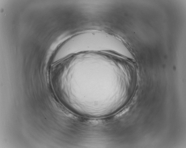 X0000073740343200608311916