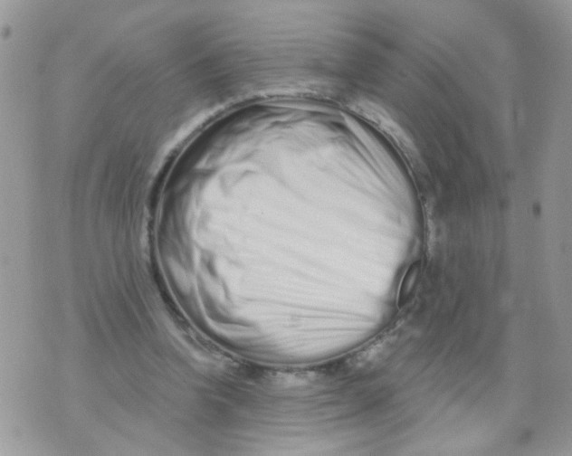 X0000073740346200608311916