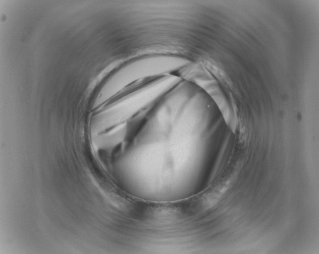 X0000073740348200608311916