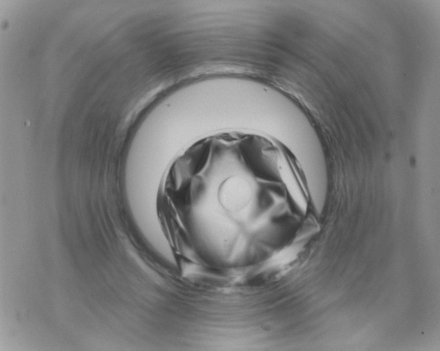 X0000073740352200608311916