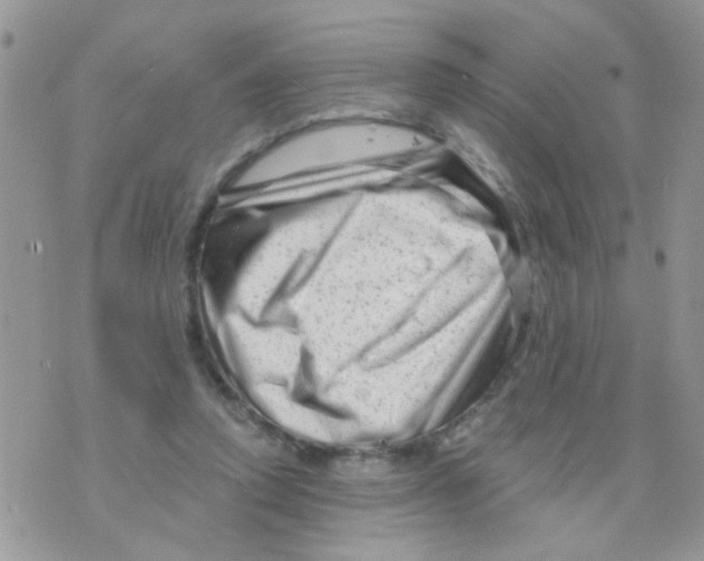 X0000073740354200608311916