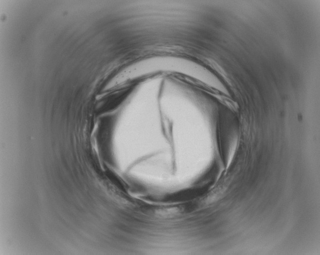 X0000073740357200608311916