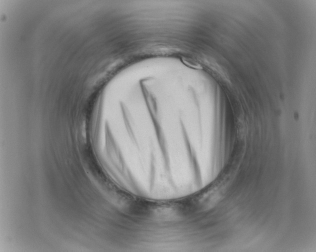 X0000073740358200608311916