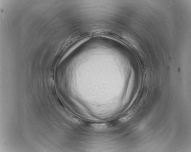 X0000073740361200608311916