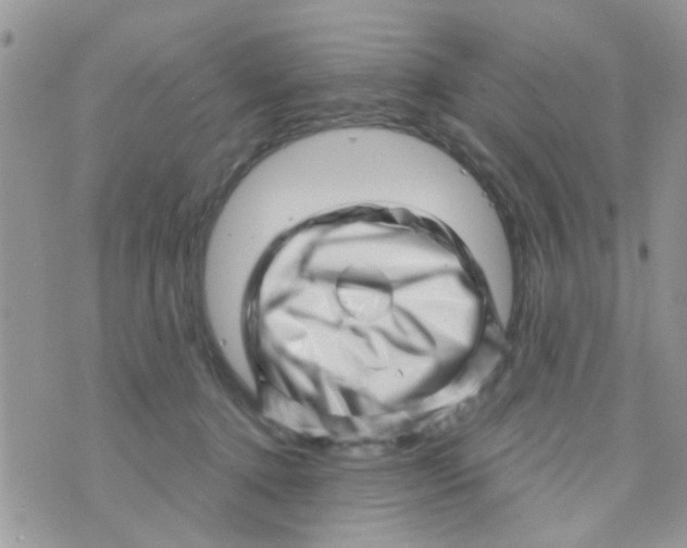 X0000073740368200608311916