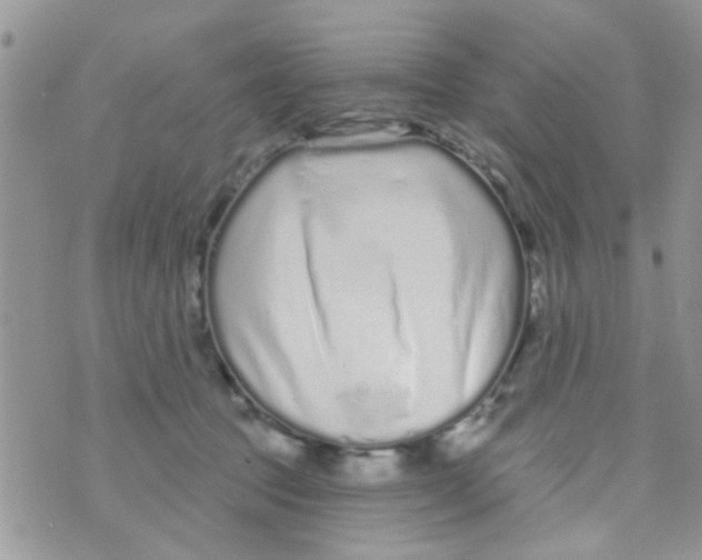 X0000073740369200608311916