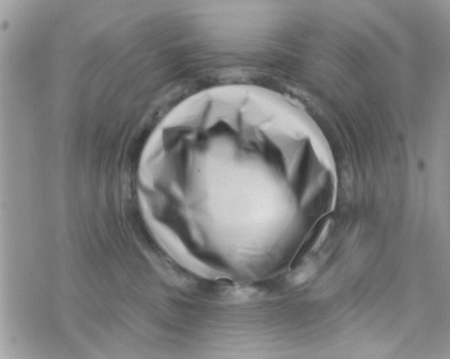 X0000073740379200608311916