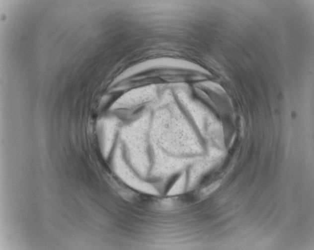 X0000073740382200608311916