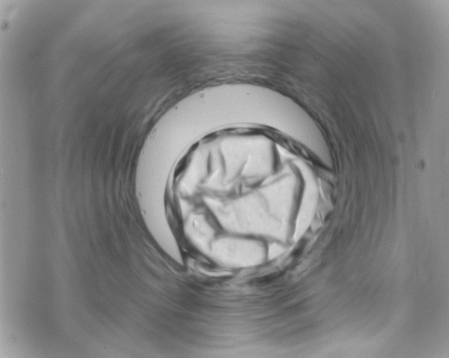 X0000073740384200608311916