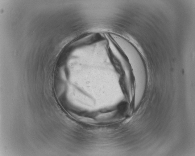 X0000073740385200608311915