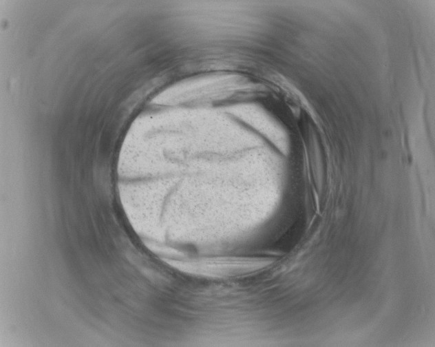 X0000073740386200608311915