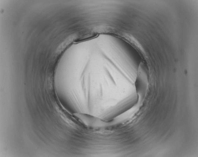 X0000073740393200608311915