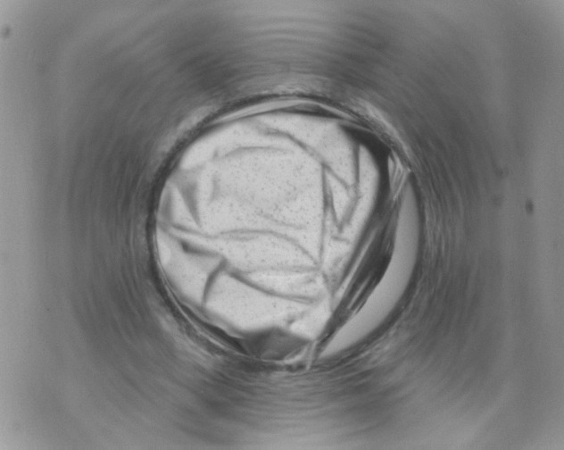 X0000073740394200608311915