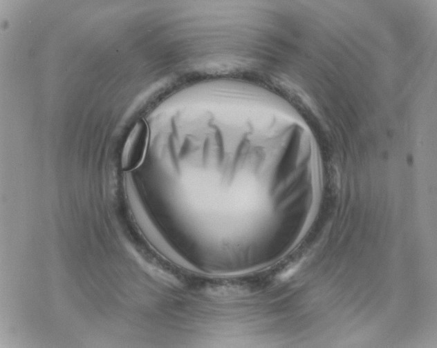 X0000073740400200608311915