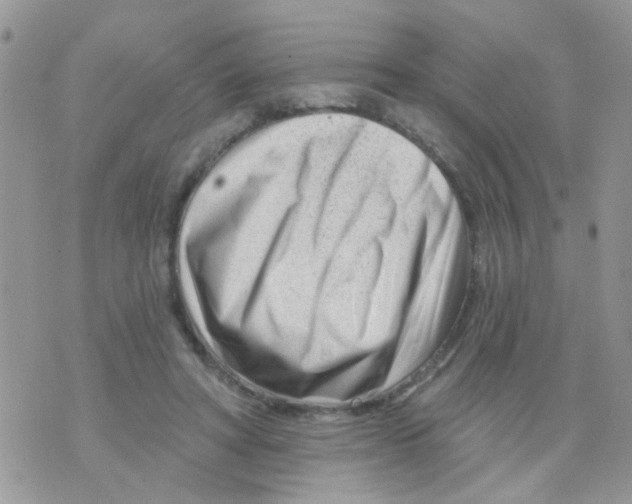 X0000073740402200608311915