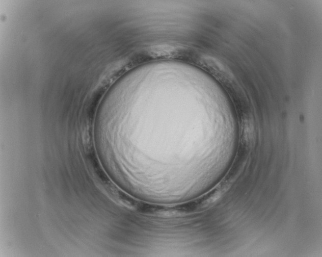 X0000073740408200608311915