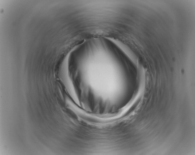 X0000073740416200608311915