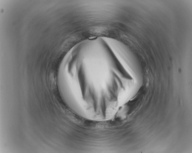 X0000073740420200608311915