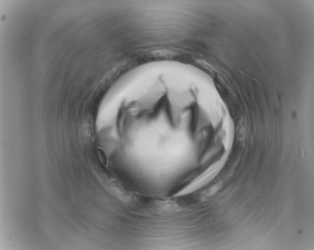 X0000073740424200608311915