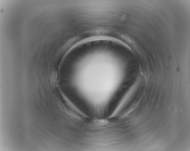 X0000073740429200608311915