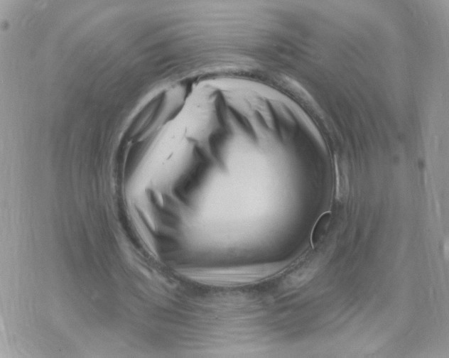 X0000073740435200608311914