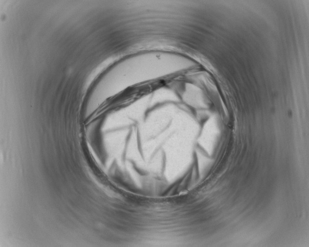 X0000073740438200608311914