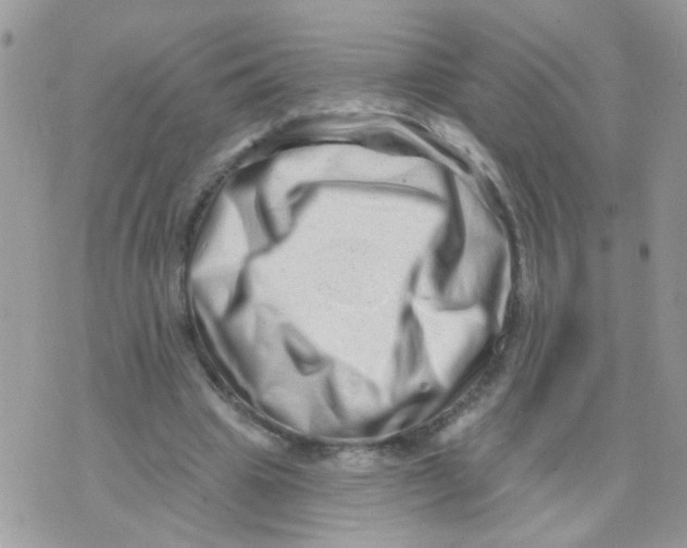 X0000073740441200608311914