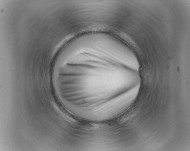X0000073740442200608311914