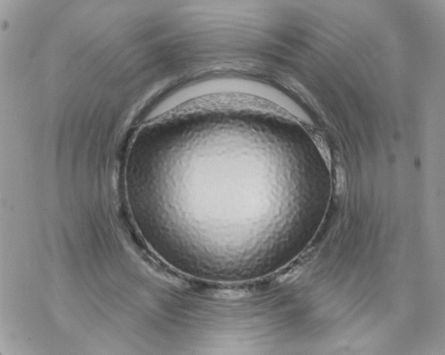 X0000073740444200608311914