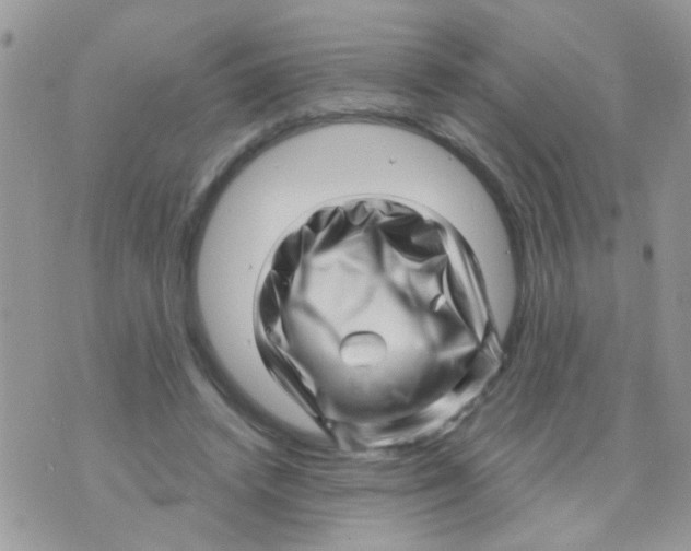 X0000073740448200608311914