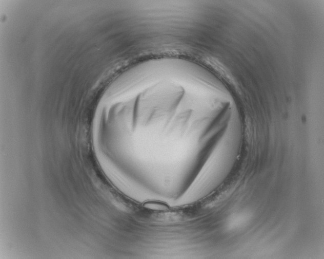 X0000073740449200608311914