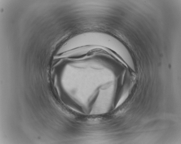 X0000073740450200608311914