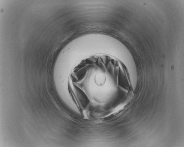 X0000073740456200608311914