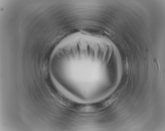 X0000073740460200608311914