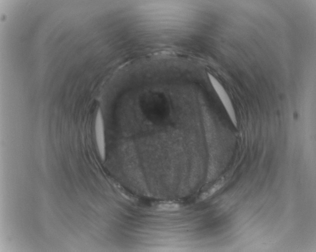 X0000073740471200608311914