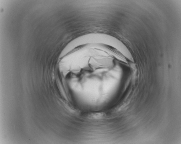 X0000073740479200608311915
