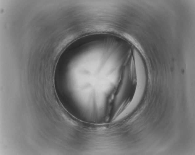 X0000073740481200608311914