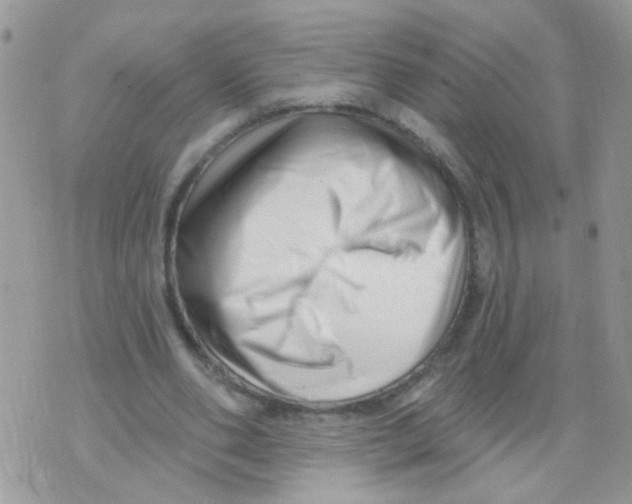 X0000073740486200608311914