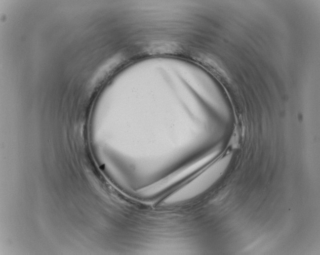 X0000073740491200608311914