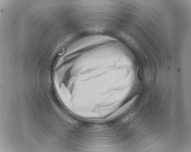 X0000073740494200608311914