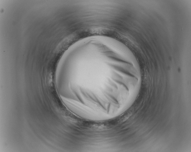 X0000073740502200608311913