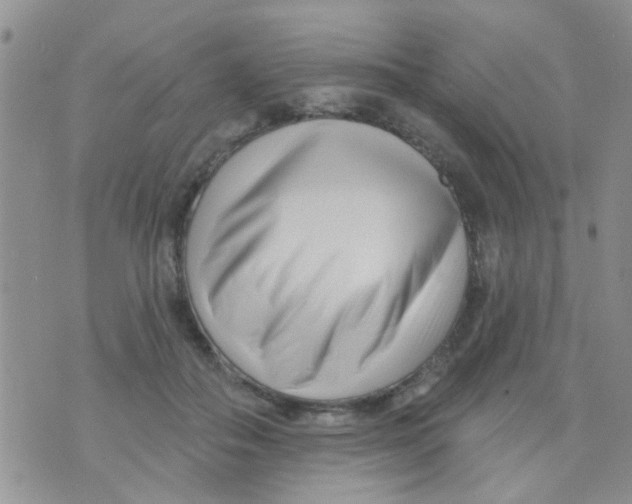 X0000073740506200608311913